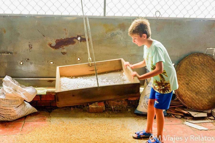 Delta del Mekong Vietnam: Nuestro hijo Raúl en una fábrica artesanal de arroz preparando fideos de arroz en un tamiz de madera