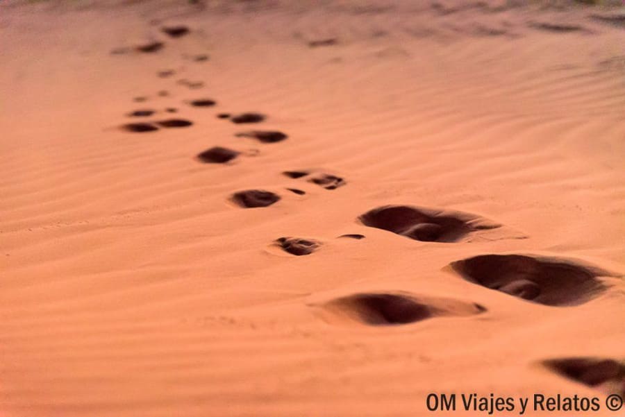 Huellas sobre la arena del desierto, ideal para consejos para viajar a Marruecos y planificar una noche en las dunas.