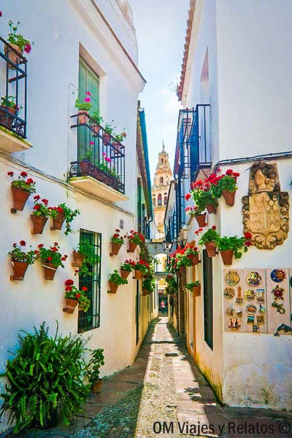 Calleja típica de Córdoba con macetas de geranios en las paredes blancas y la torre al fondo, imprescindible en que ver en Cordoba en un dia.