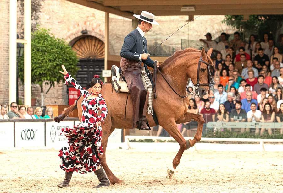 Espectáculo ecuestre y flamenco en Córdoba, un plan diferente que ver en Córdoba en un día.