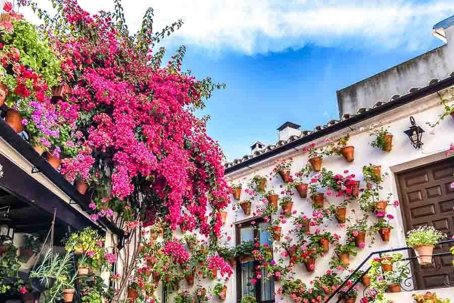 visita rápida a Córdoba.