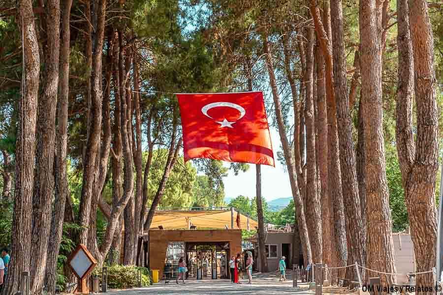 Entrada al recinto arqueológico de Éfeso entre pinos con la bandera de Turquía, útil en que ver en Efeso.
