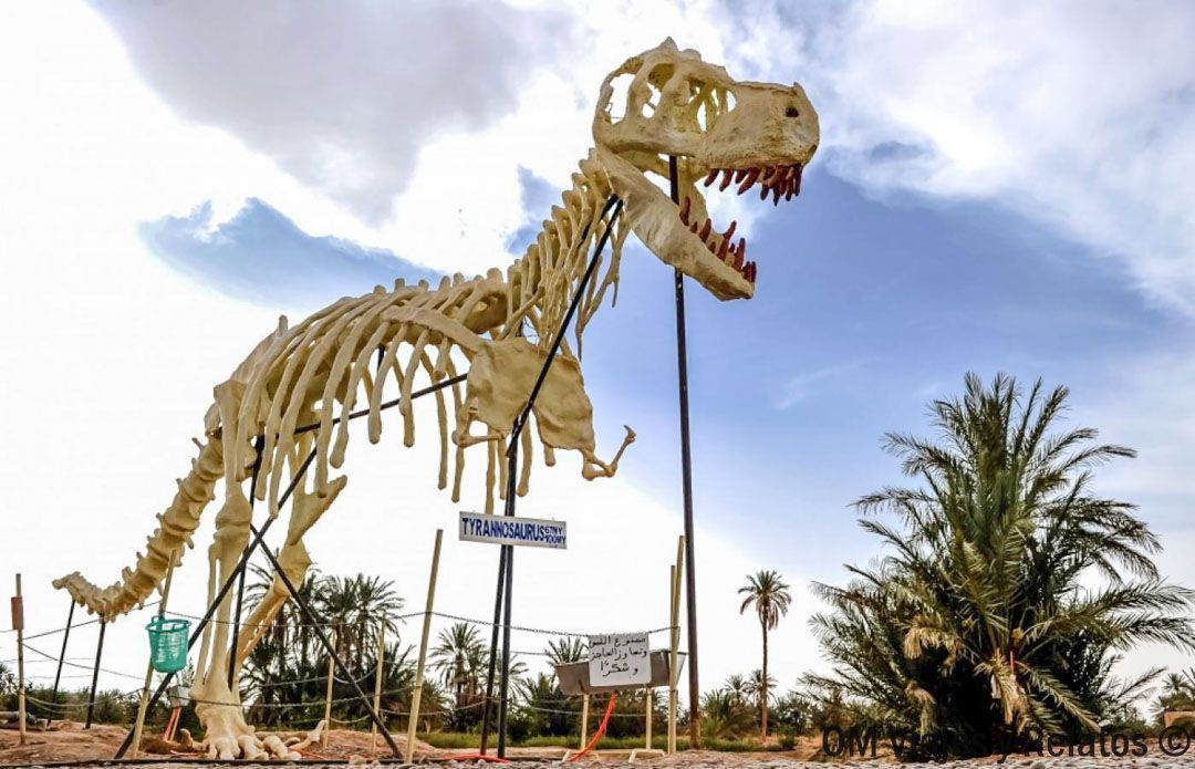 Réplica de esqueleto de tiranosaurio en la Carretera de los Dinosaurios, una parada curiosa en rutas en coche por Marruecos.