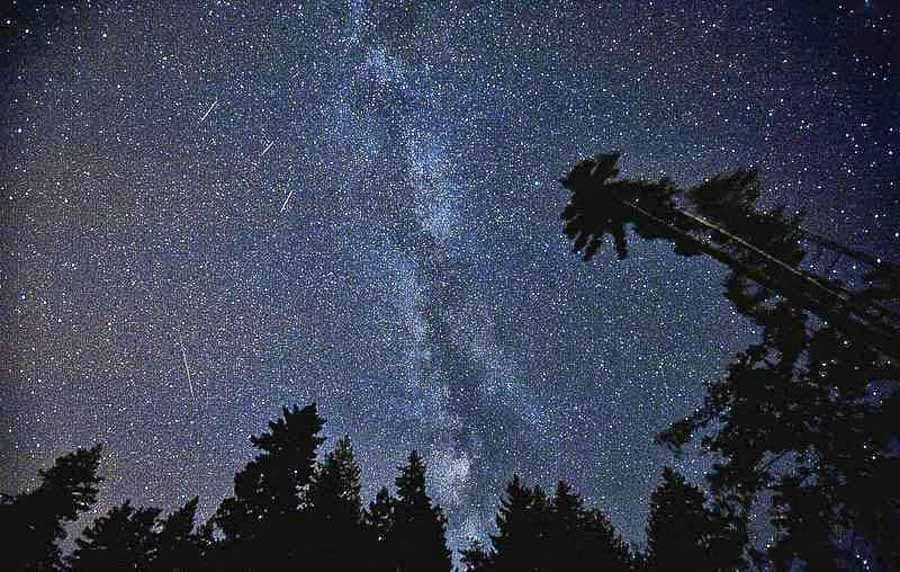 Cielo estrellado sobre un bosque en una noche mágica, una experiencia diferente para descubrir rutas en Castilla y León.