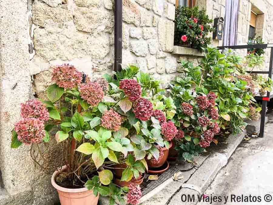 Macetas con hortensias junto a una casa de piedra en Fermoselle, una estampa con encanto para descubrir rutas en Castilla y León.