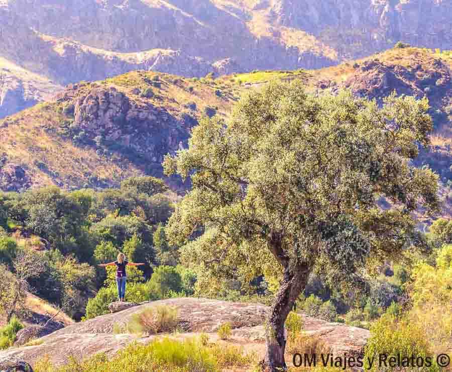 Foto mía disfrutando de un mirador natural entre montañas y bosques, una imagen inspiradora para hablar de rutas en Castilla y León.
