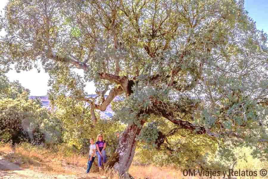 Yo y mi hijo junto a un gran árbol en la Senda del Duero, una imagen inspiradora para hablar de rutas en Castilla y León.