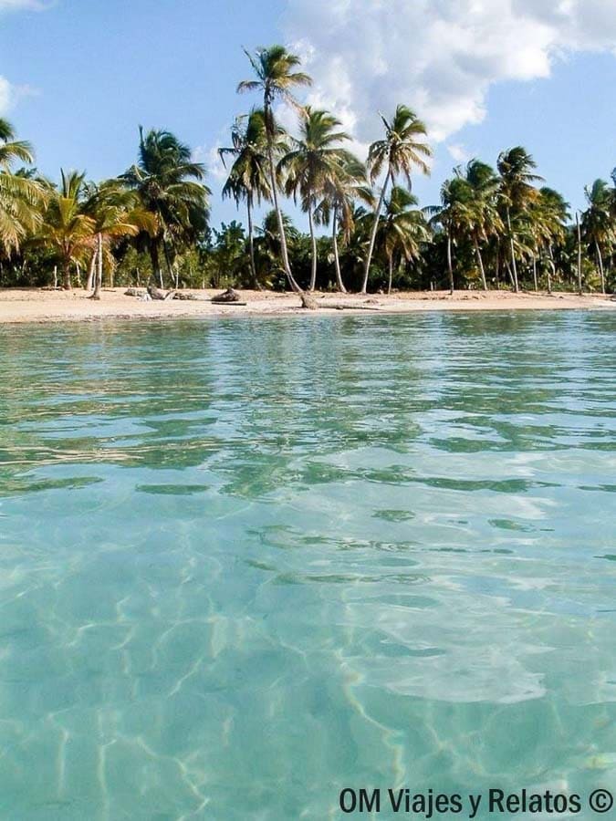 Agua cristalina frente a las palmeras en Playa Cosón, una de las playas de Samaná más bonitas para bañarse y relajarse.