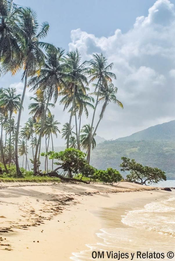 Playa del Ermitaño con palmeras y arena clara, una de las playas de Samaná más tranquilas y poco concurridas.