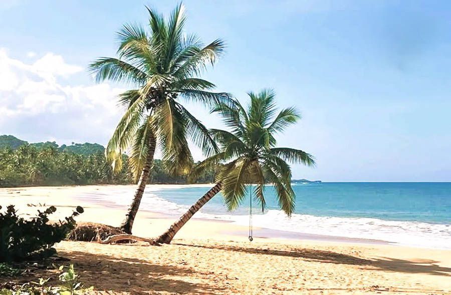 Vista de Playa Limón con palmeras en la orilla y arena dorada, una de las playas de Samana más bonitas para pasear.