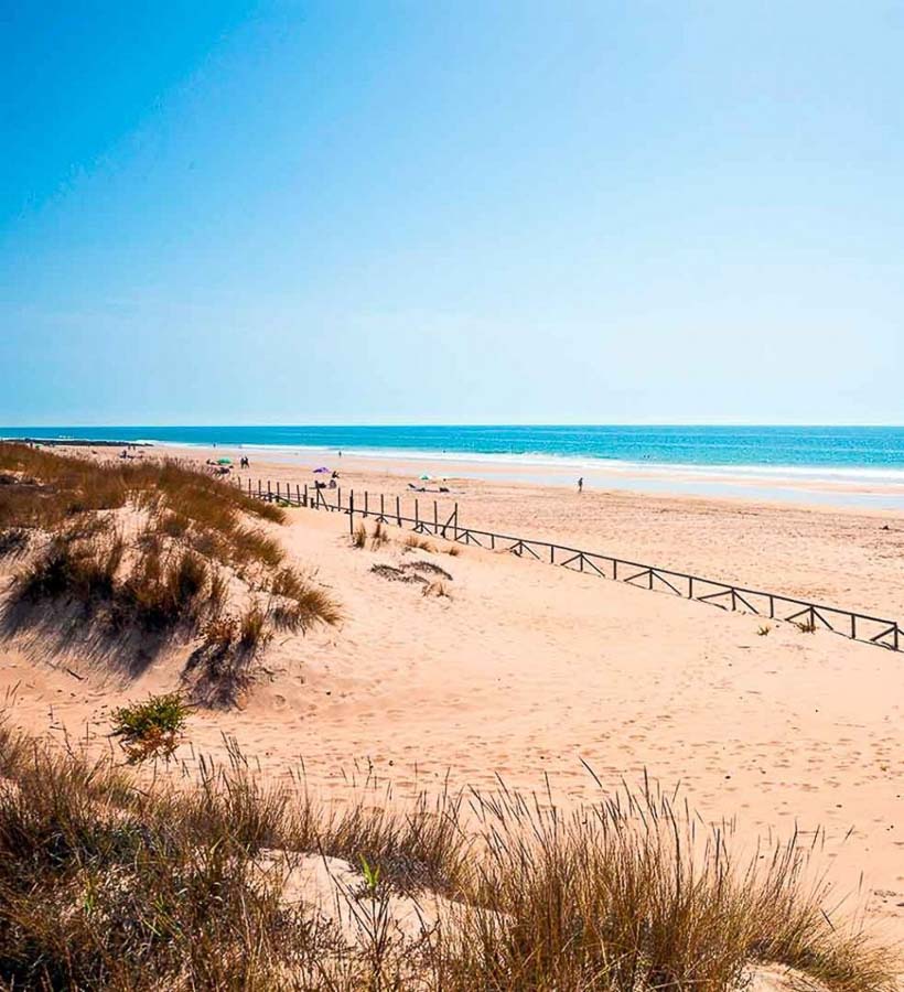 Playa de El Palmar, una de las playas mas bonitas de Cadiz, con dunas y arena infinita junto al mar.