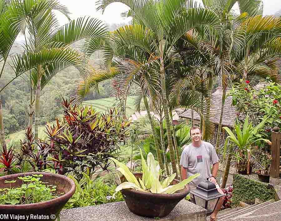 JC posando rodeada de vegetación tropical con vistas a los arrozales de Bali, una imagen ideal para ilustrar qué ver y hacer en Bali por zonas.