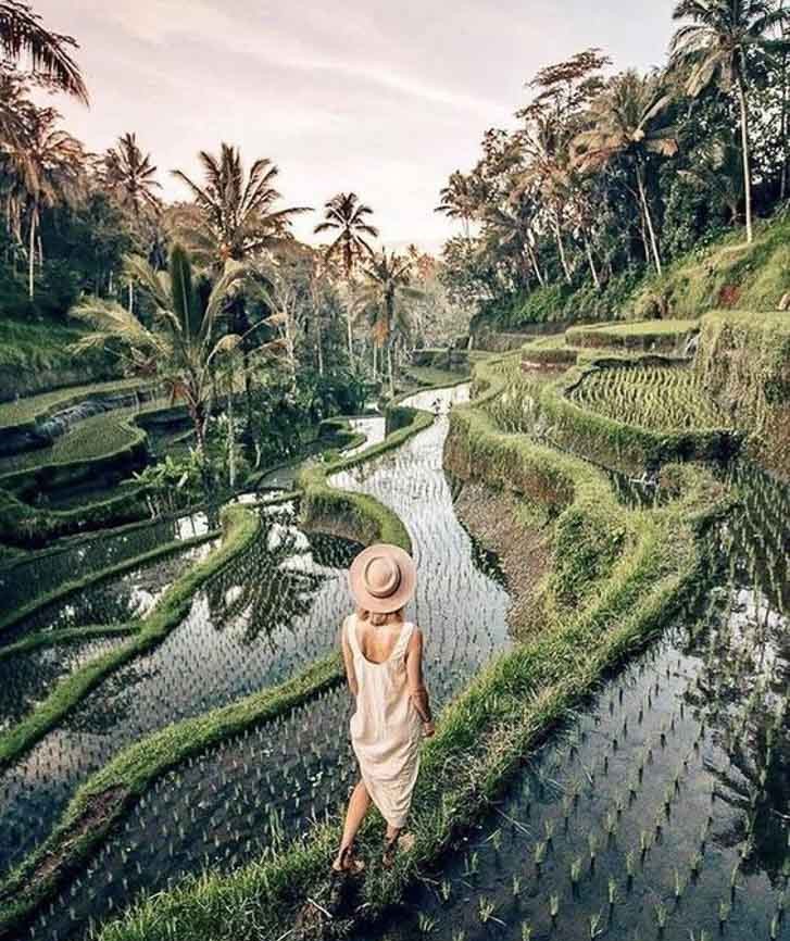 Foto mía caminando entre los arrozales escalonados de Bali rodeados de palmeras, una visita imprescindible al planificar qué ver y hacer en Bali por zonas.