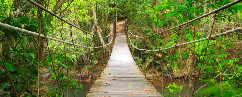 Puente colgante en el Parque Nacional de Khao Yai.