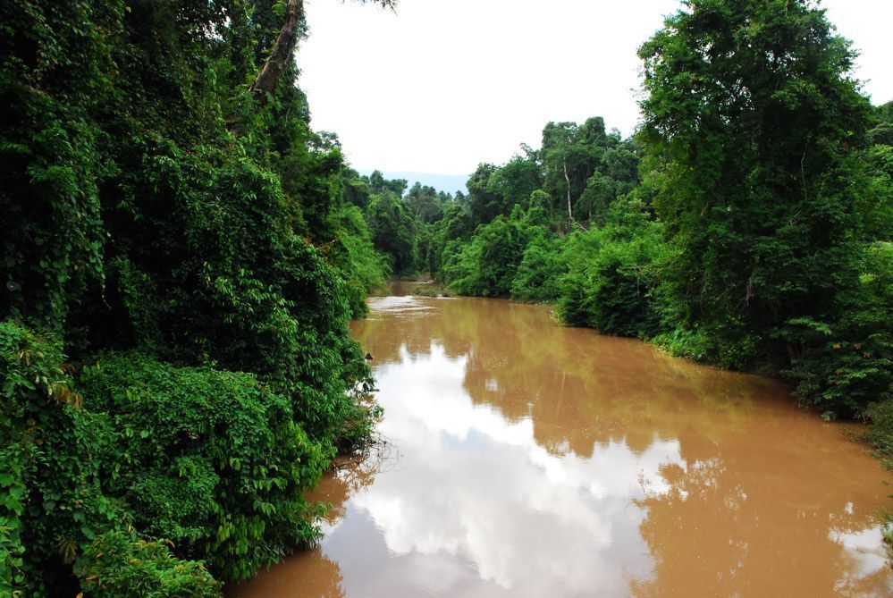 Río en la selva del Parque Nacional de Khao Yai.