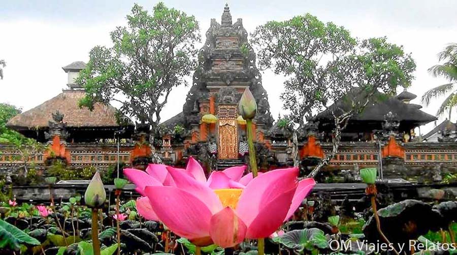 Flor de loto frente al templo Pura Taman Saraswati en Ubud, una visita imprescindible al planificar que ver y hacer en Bali por zonas.