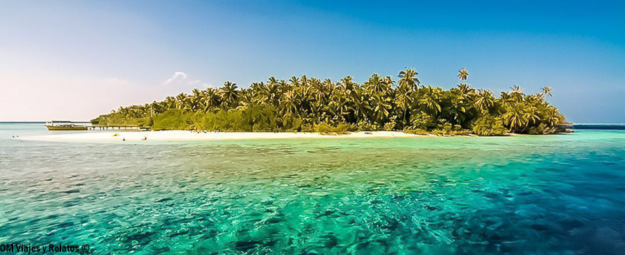 Isla tropical de Maldivas rodeada de aguas turquesas y palmeras, una imagen inspiradora para decidir que hotel elegir en maldivas.