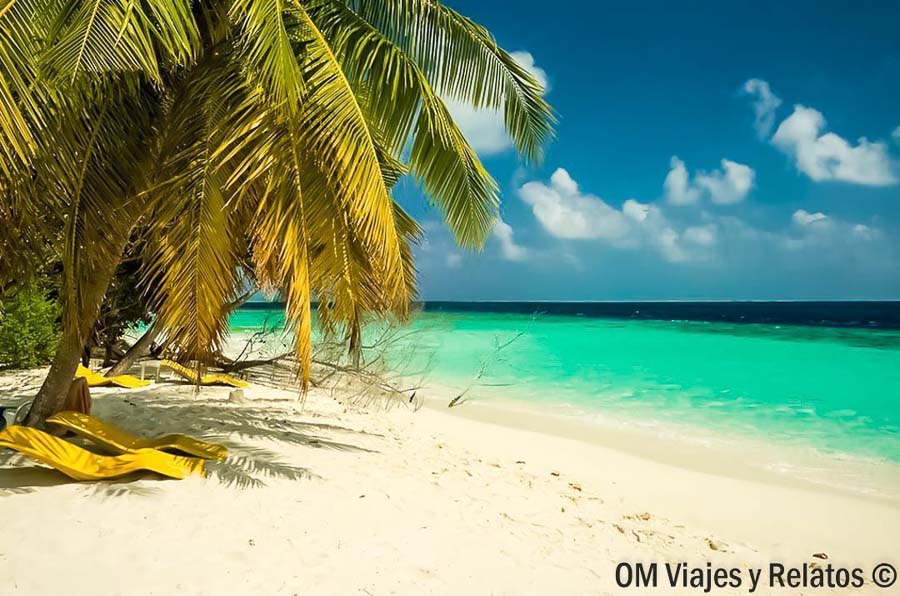 Playa de Maldivas con palmeras, tumbonas y aguas turquesas, una imagen ideal para decidir que hotel elegir en maldivas.