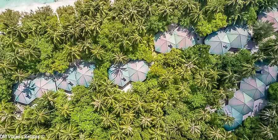 Vista aérea de villas entre palmeras en un resort de Maldivas, una imagen útil para decidir que hotel elegir en maldivas.