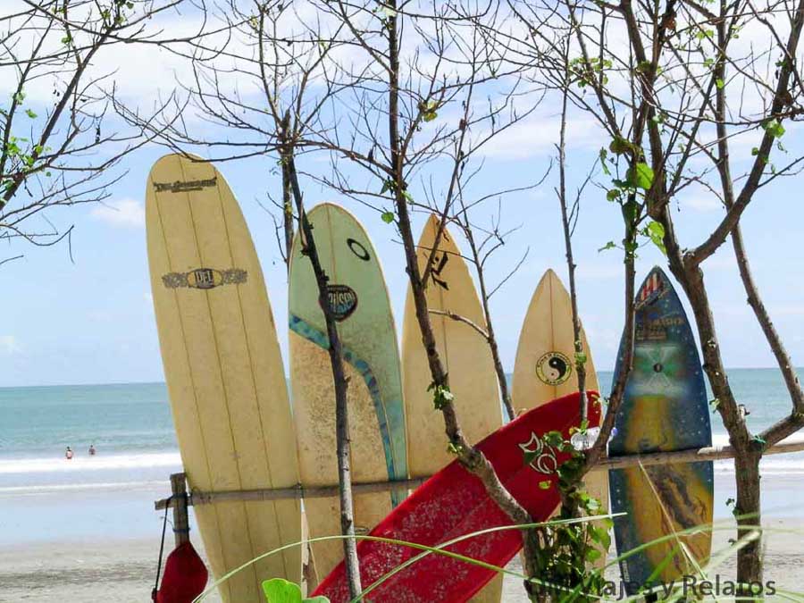 Tablas de surf junto a la playa en Bali, una actividad ideal para incluir al planificar qué ver y hacer en Bali por zonas.