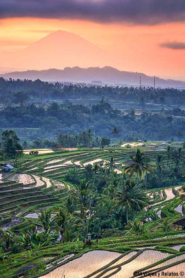 Arrozales en terrazas con un volcán al fondo al atardecer durante nuestra ruta por Bali en 10 días