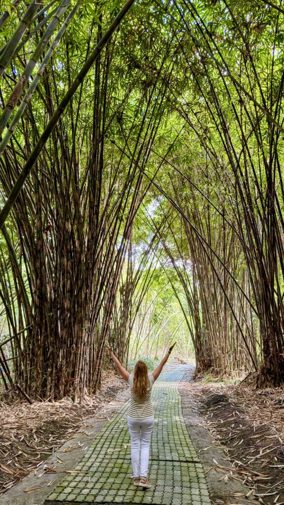 Foto mía caminando por un bosque de bambú durante nuestra ruta por Bali