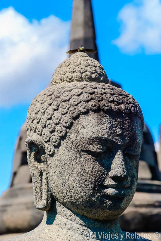 Primer plano de una figura de Buda en Borobudur