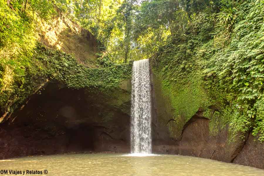 Cascada rodeada de vegetación durante nuestra ruta por Bali en 10 días