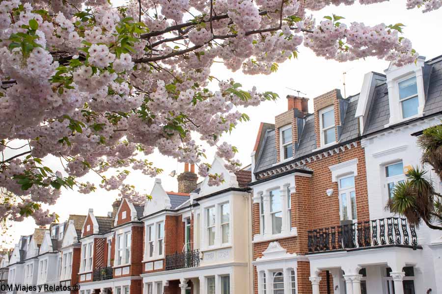 Casas residenciales de Londres bajo cerezos en flor en primavera