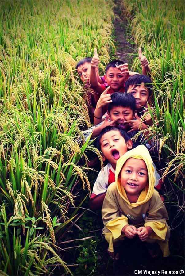 Niños entre arrozales en Indonesia, una escena rural que refleja la vida cotidiana en sus islas