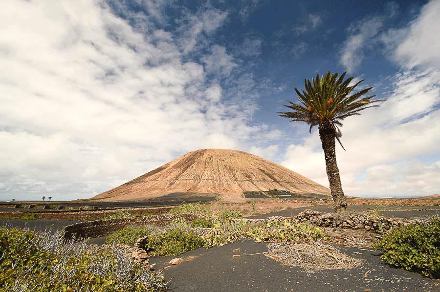 Paisaje volcánico de Lanzarote con montaña, palmera y campos de cultivo