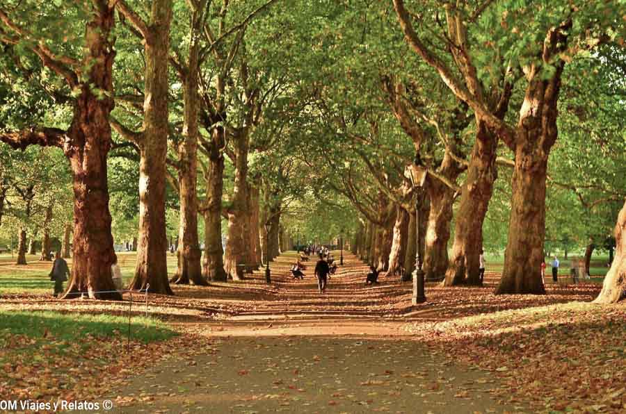 Paseo arbolado en un parque de Londres durante el otoño, con hojas doradas y visitantes caminando entre los árboles