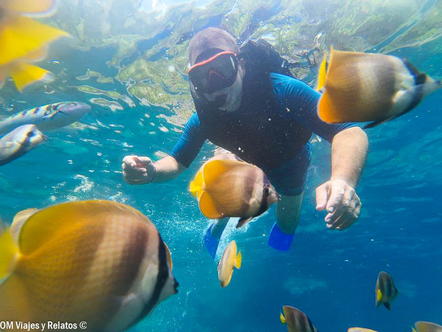 JC haciendo snorkel entre peces tropicales en aguas de Indonesia