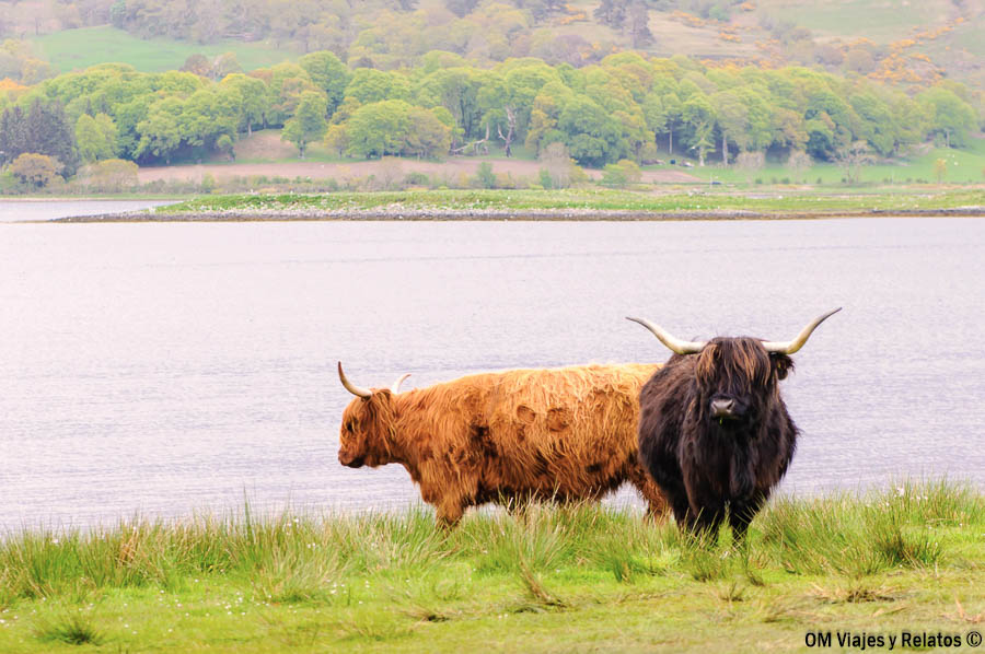 viajar por Escocia en autocaravana