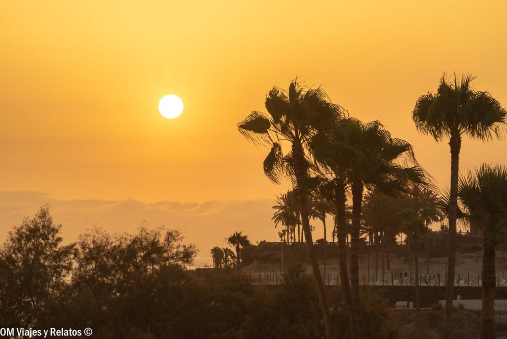 Atardecer en Tenerife con palmeras en primer plano y el sol sobre el océano Atlántico