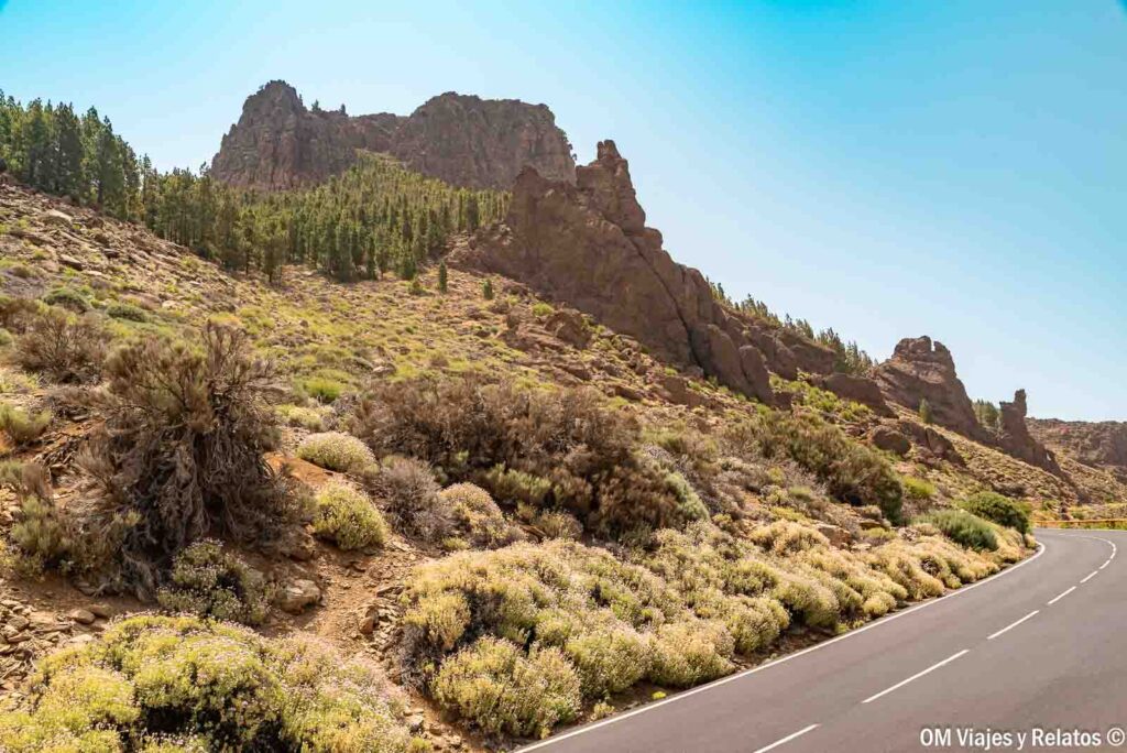 Carretera de montaña con curvas entre paisajes volcánicos y pinares del Teide, ideal para recorrer Tenerife en coche