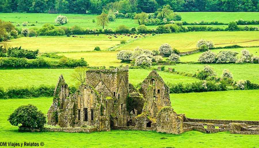 Ruinas de Hore Abbey en Cashel durante nuestra ruta por Irlanda en 7 días