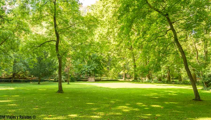 Amplia pradera verde rodeada de árboles frondosos en los jardines del Monasterio de Piedra, Zaragoza