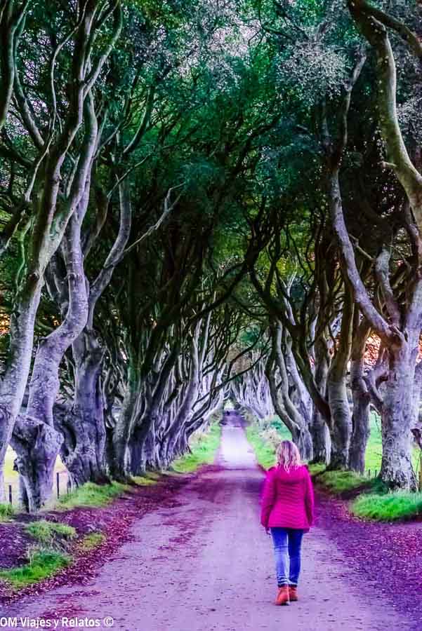 Foto mía caminando por Dark Hedges en Irlanda del Norte