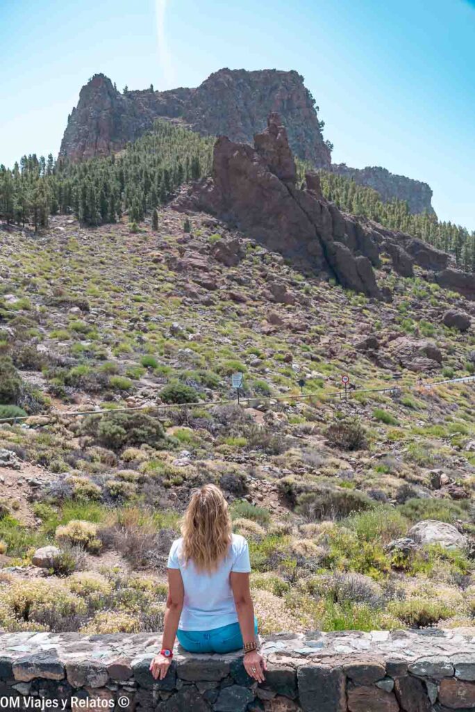 Una servidora contemplando las formaciones rocosas y los pinares del Parque Nacional del Teide durante una ruta por Tenerife