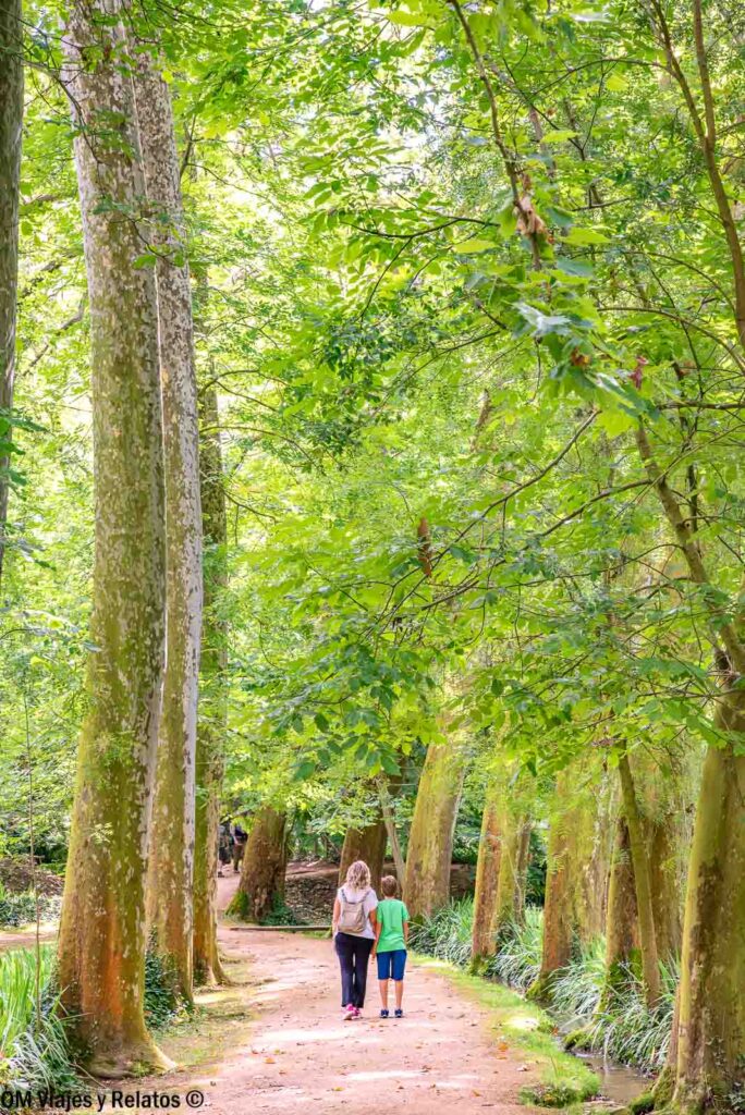 Yo y mi hijo paseando por un sendero rodeado de árboles en el Monasterio de Piedra